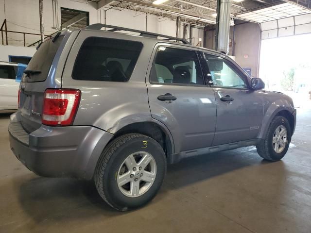 2008 Ford Escape HEV