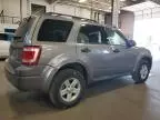 2008 Ford Escape HEV