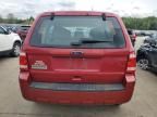 2011 Ford Escape XLS