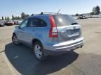 2010 Honda CR-V EXL