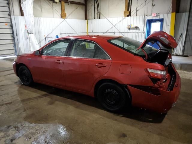 2009 Toyota Camry Hybrid