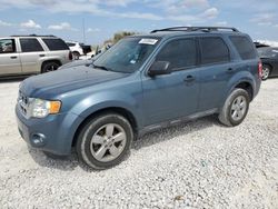 Ford salvage cars for sale: 2012 Ford Escape XLT