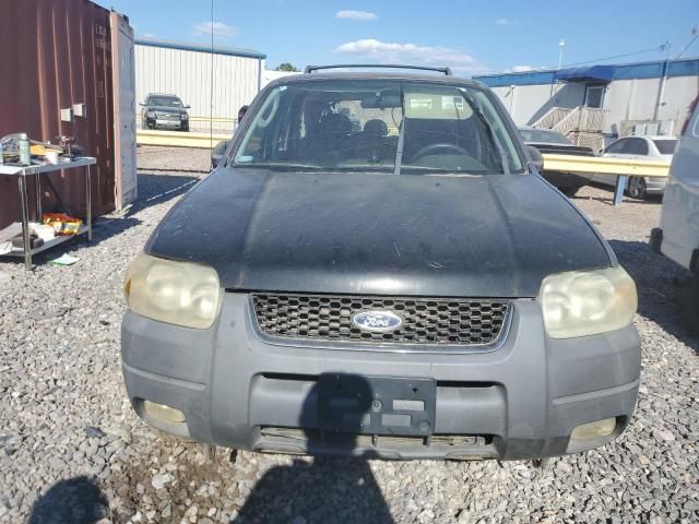 2007 Ford Escape XLT