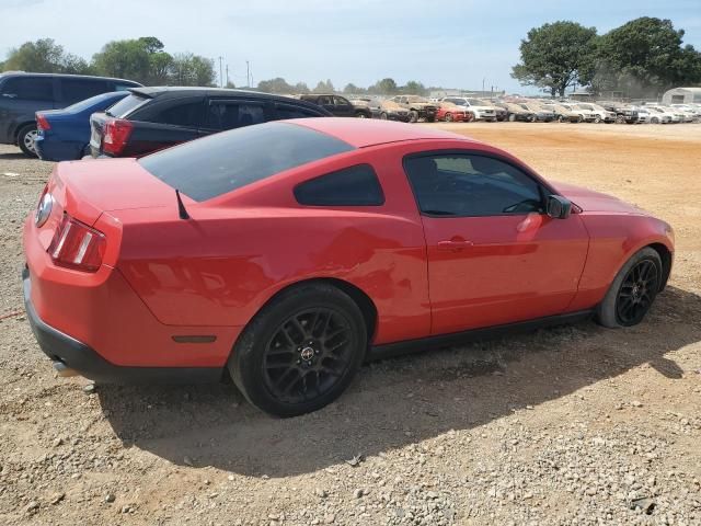 2010 Ford Mustang