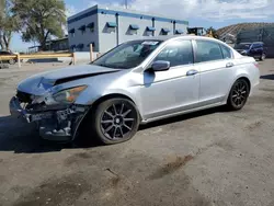 Salvage cars for sale from Copart Albuquerque, NM: 2009 Honda Accord EXL