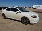 2009 Scion TC