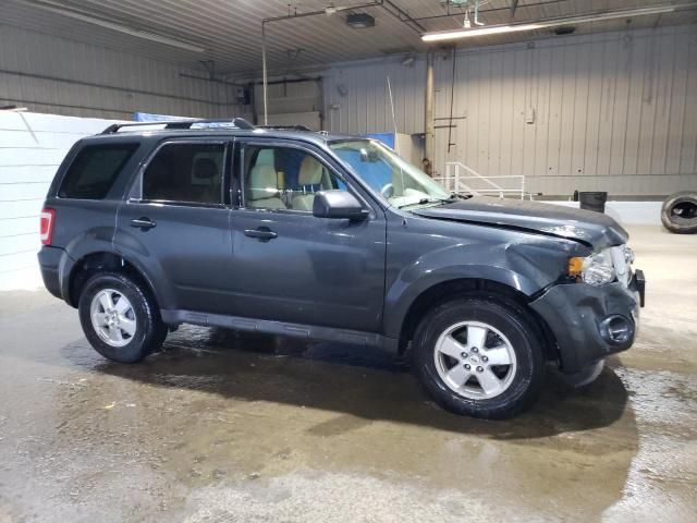 2009 Ford Escape XLT