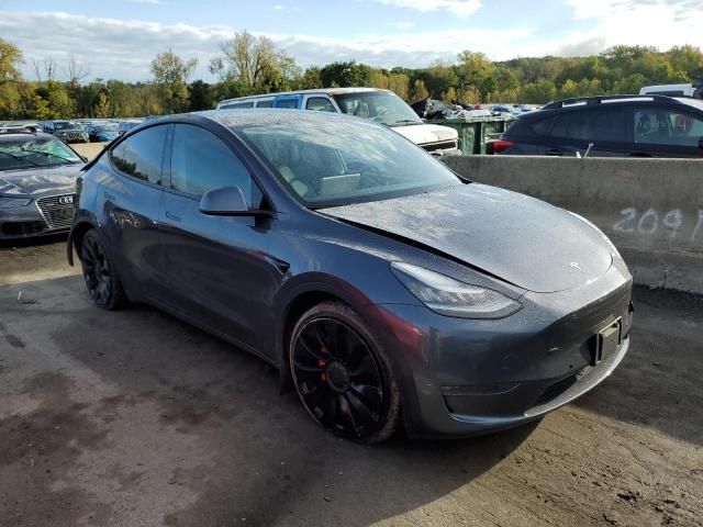 2020 Tesla Model Y