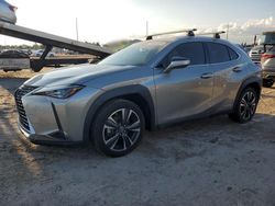 Salvage cars for sale at Riverview, FL auction: 2020 Lexus UX 250H