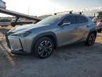 2020 Lexus UX 250H