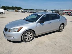 Honda salvage cars for sale: 2010 Honda Accord EXL