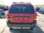 2005 Ford Escape XLT