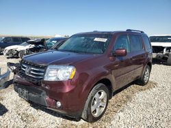 Honda Pilot salvage cars for sale: 2013 Honda Pilot EXL