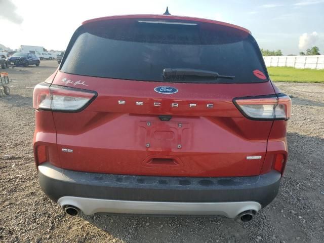 2020 Ford Escape SE