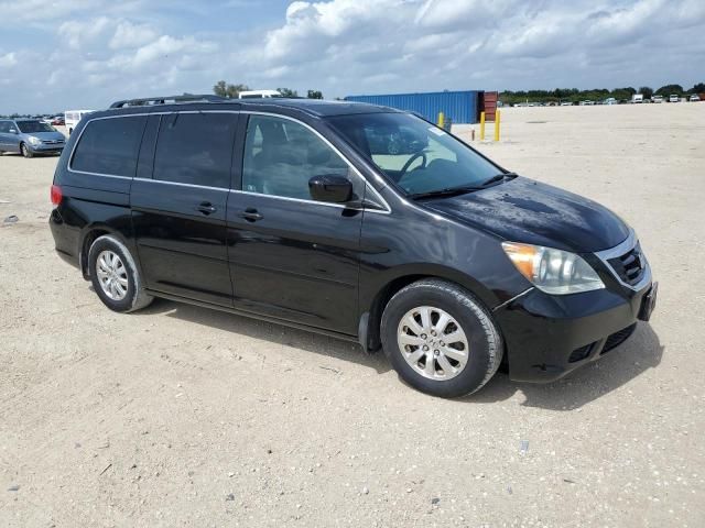 2010 Honda Odyssey EXL