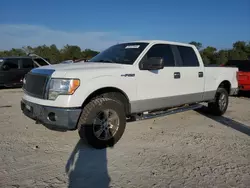 Ford salvage cars for sale: 2013 Ford F150 Supercrew