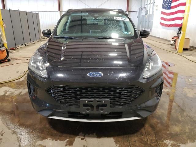 2020 Ford Escape SE Sport