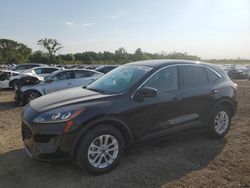 Hail Damaged Cars for sale at auction: 2020 Ford Escape SE