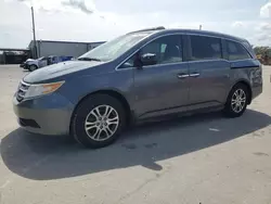 Salvage cars for sale at Orlando, FL auction: 2013 Honda Odyssey EXL