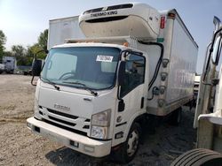 Salvage trucks for sale at Cicero, IN auction: 2019 Isuzu NQR