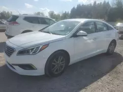 Hyundai salvage cars for sale: 2016 Hyundai Sonata SE