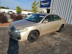 Toyota salvage cars for sale: 2010 Toyota Camry Base