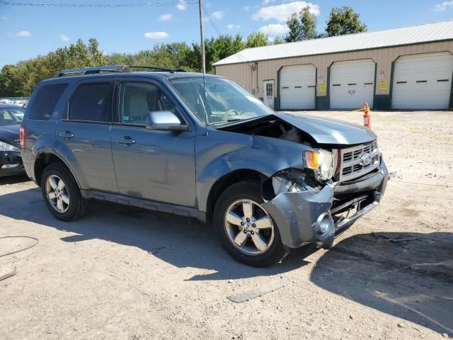 2010 Ford Escape Limited