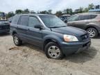 2005 Honda Pilot EXL