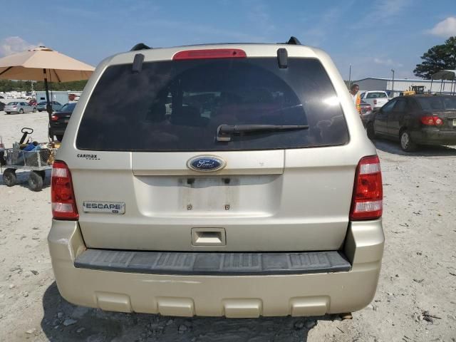 2010 Ford Escape XLT