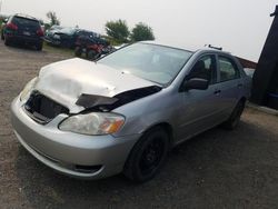 Toyota Vehiculos salvage en venta: 2004 Toyota Corolla CE