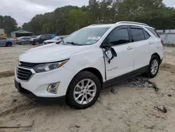 Salvage cars for sale at Seaford, DE auction: 2019 Chevrolet Equinox LT