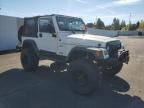 2002 Jeep Wrangler / TJ Sport