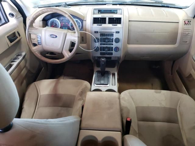 2008 Ford Escape XLT