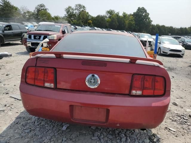 2005 Ford Mustang