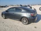 2010 Scion TC