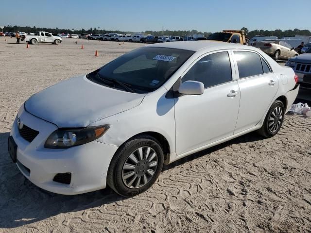 2010 Toyota Corolla Base