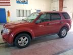 2011 Ford Escape XLS