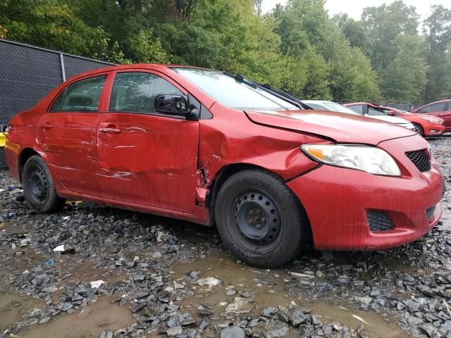 2010 Toyota Corolla Base