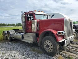 Salvage trucks for sale at Angola, NY auction: 2022 Peterbilt 389