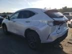 2024 Lexus NX 350H Base