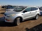 2013 Ford Escape S