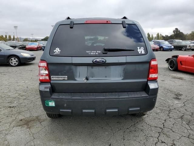 2009 Ford Escape XLT