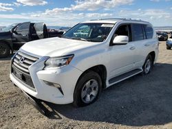 Lexus Vehiculos salvage en venta: 2015 Lexus GX 460