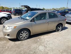 Salvage cars for sale at Indianapolis, IN auction: 2010 Toyota Corolla Base