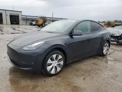 Tesla salvage cars for sale: 2024 Tesla Model Y