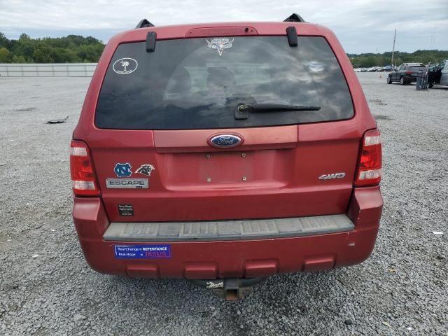 2008 Ford Escape XLT