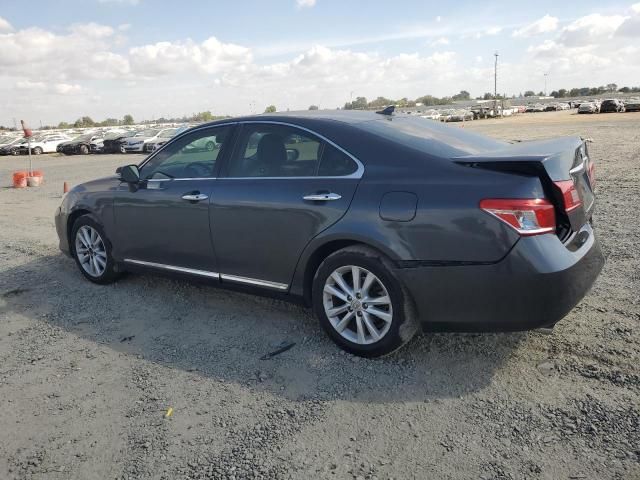 2011 Lexus ES 350