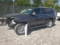 Salvage cars for sale at Cicero, IN auction: 2014 Lexus GX 460