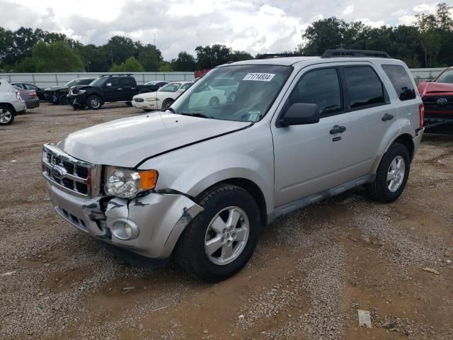 2009 Ford Escape XLT