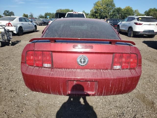 2005 Ford Mustang